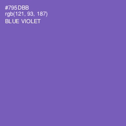 #795DBB - Blue Violet Color Image