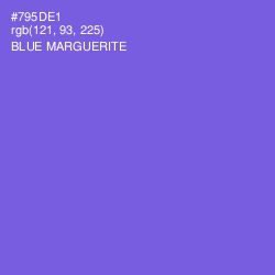 #795DE1 - Blue Marguerite Color Image