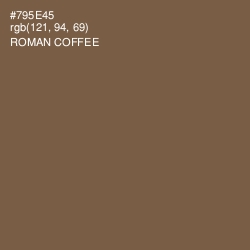 #795E45 - Roman Coffee Color Image