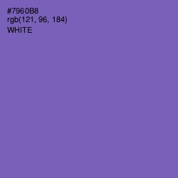 #7960B8 - Deluge Color Image