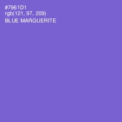 #7961D1 - Blue Marguerite Color Image