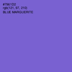 #7961D2 - Blue Marguerite Color Image