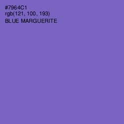 #7964C1 - Blue Marguerite Color Image