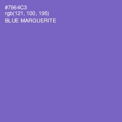#7964C3 - Blue Marguerite Color Image