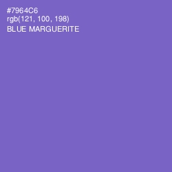 #7964C6 - Blue Marguerite Color Image