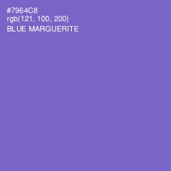 #7964C8 - Blue Marguerite Color Image