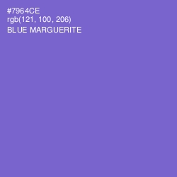 #7964CE - Blue Marguerite Color Image