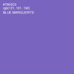 #7965C0 - Blue Marguerite Color Image