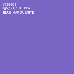 #7965C3 - Blue Marguerite Color Image