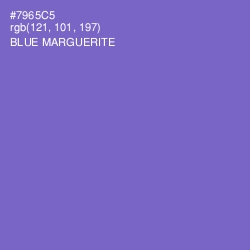 #7965C5 - Blue Marguerite Color Image