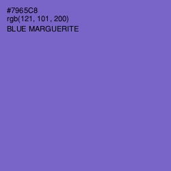 #7965C8 - Blue Marguerite Color Image