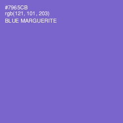 #7965CB - Blue Marguerite Color Image