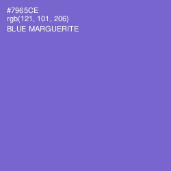 #7965CE - Blue Marguerite Color Image