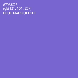 #7965CF - Blue Marguerite Color Image