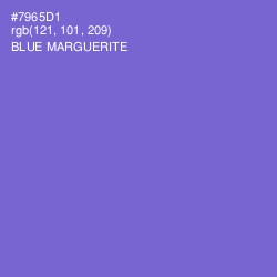 #7965D1 - Blue Marguerite Color Image