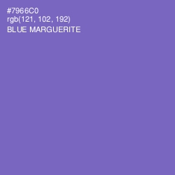 #7966C0 - Blue Marguerite Color Image