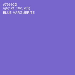 #7966CD - Blue Marguerite Color Image