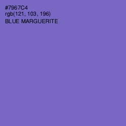 #7967C4 - Blue Marguerite Color Image