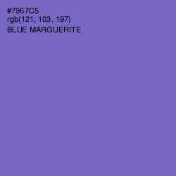 #7967C5 - Blue Marguerite Color Image