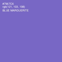 #7967C6 - Blue Marguerite Color Image