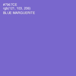 #7967CE - Blue Marguerite Color Image