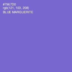 #7967D0 - Blue Marguerite Color Image