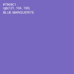 #7968C1 - Blue Marguerite Color Image