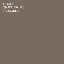 #796B5F - Crocodile Color Image