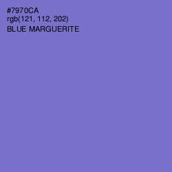 #7970CA - Blue Marguerite Color Image