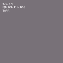 #797178 - Tapa Color Image