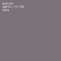 #797278 - Tapa Color Image