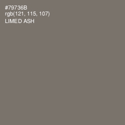 #79736B - Limed Ash Color Image