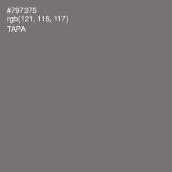 #797375 - Tapa Color Image