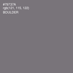 #79737A - Boulder Color Image