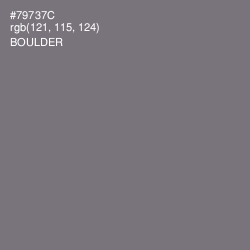 #79737C - Boulder Color Image