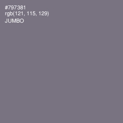 #797381 - Jumbo Color Image