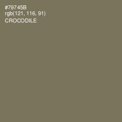 #79745B - Crocodile Color Image