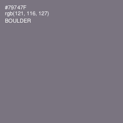 #79747F - Boulder Color Image