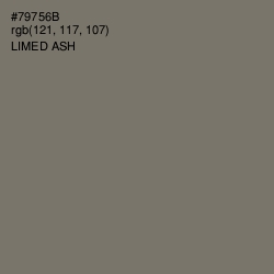 #79756B - Limed Ash Color Image