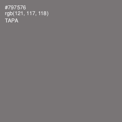 #797576 - Tapa Color Image