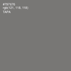 #797676 - Tapa Color Image