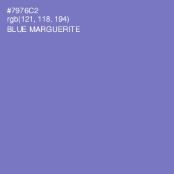 #7976C2 - Blue Marguerite Color Image