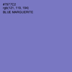#7977C2 - Blue Marguerite Color Image