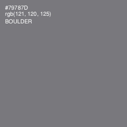 #79787D - Boulder Color Image