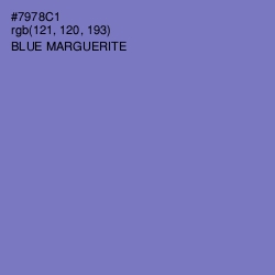#7978C1 - Blue Marguerite Color Image