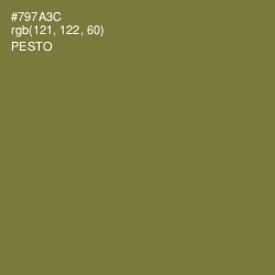 #797A3C - Pesto Color Image