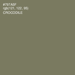 #797A5F - Crocodile Color Image