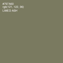 #797A60 - Limed Ash Color Image