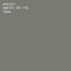 #797A71 - Tapa Color Image