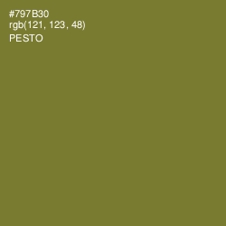 #797B30 - Pesto Color Image